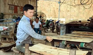 Xây dựng Tuyên Quang trở thành hình mẫu phát triển kinh tế lâm nghiệp