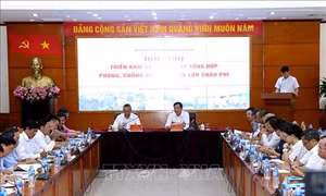 Áp dụng nghiêm quy trình chăn nuôi an toàn sinh học để phòng dịch tả lợn châu Phi