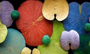 Festival Nghề truyền thống Huế 2019 tôn vinh “Tinh hoa nghề Việt”