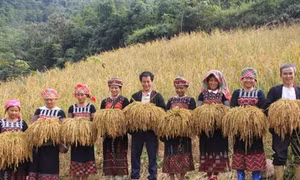 Người Xá Phó “rước hồn mẹ lúa”
