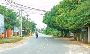 Bình Thuận ưu tiên đầu tư phát triển các mô hình sản xuất, nâng cao thu nhập vùng nông thôn 