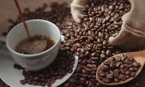 Brazil phát triển giống cây cà phê không có chất caffeine