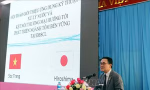 Sóc Trăng hợp tác với Nhật Bản xây dựng thương hiệu tôm sạch