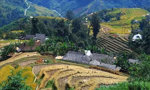Du lịch góp phần đưa nông thôn trở thành những "miền quê đáng sống"