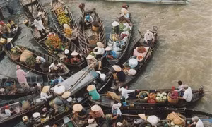 Hậu Giang đánh thức tiềm năng du lịch nông nghiệp