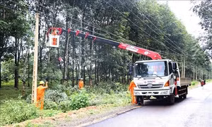 Gia Lai đảm bảo an toàn hành lang lưới điện