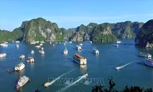Phát triển du lịch trực tuyến - Cuộc chơi đầy thử thách