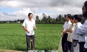 Sóc Trăng chuyển đổi cơ cấu cây trồng hướng phát huy thế mạnh địa phương 