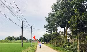 Quảng Ninh phấn đấu hoàn thành Chương trình 135 trong năm 2019