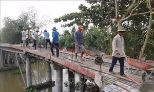 Tiến bộ trong xây dựng nông thôn mới giai đoạn 2016 - 2020