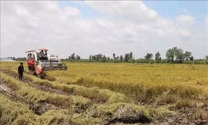 Tiếp tục đổi mới, nâng cao hiệu quả kinh tế tập thể lĩnh vực phi nông nghiệp