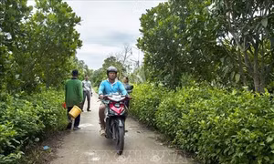 Vùng kinh tế mới Rọc Xây từng ngày chuyển mình