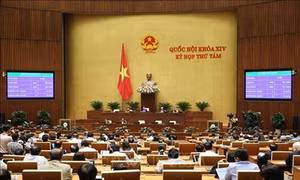 Kỳ họp thứ 8, Quốc hội khóa XIV: Quốc hội thông qua 3 luật và miễn nhiệm Chủ nhiệm Ủy ban Pháp luật, phê chuẩn việc miễn nhiệm Bộ trưởng Bộ Y tế