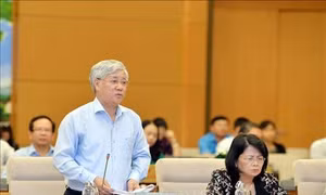 Góp ý hoàn thiện Đề án tổng thể đầu tư phát triển kinh tế - xã hội vùng dân tộc thiểu số và miền núi