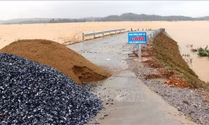 Hà Tĩnh: Mưa lũ, triều cường làm sạt lở hàng trăm mét kè biển, uy hiếp đời sống người dân