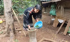 Cối giã trong đời sống của người Êđê