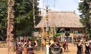 Nghi thức dựng cây nêu của đồng bào Cơ Tu
