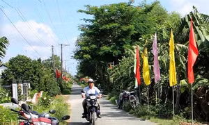 Hai huyện, thị xã của tỉnh Trà Vinh cán đích nông thôn mới