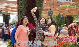 Thành phố Hồ Chí Minh tổ chức nhiều hoạt động vui xuân đón Tết Kỷ Hợi 2019