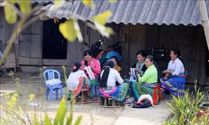 Bản không rượu, bia Lao Chải 2 ở Lai Châu