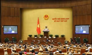 Kỳ họp thứ 7, Quốc hội khóa XIV: Tranh luận đến cùng, làm sáng tỏ những vấn đề xã hội quan tâm