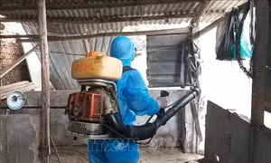 Bộ trưởng Bộ Y tế yêu cầu quyết liệt phòng, chống dịch sốt xuất huyết 