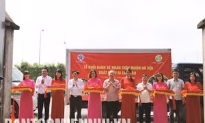 Hà Nội xuất khẩu nhãn chín muộn sang Mỹ và Châu Âu