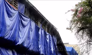 Vụ cháy tại Công ty Bóng đèn phích nước Rạng Đông: Chủ tịch UBND thành phố yêu cầu di dời nhà máy và tẩy độc toàn bộ khu vực cháy