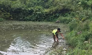 Người dân vùng cao Hòa Bình "khát" nước sạch