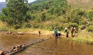 Phong tục bắt cá truyền thống của đồng bào dân tộc Cơ Tu (Quảng Nam)
