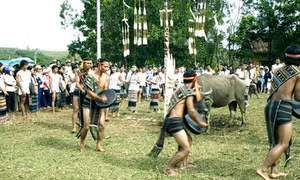 Múa dân gian trong các lễ hội truyền thống của người K'Ho