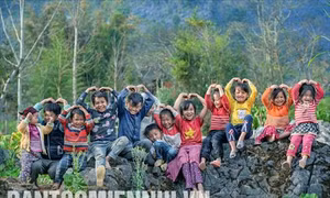 Khai mạc triển lãm ảnh nghệ thuật “Hoa Của Đá”