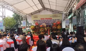 Bắc Giang đưa nông sản chất lượng cao đến với người dân Thủ đô