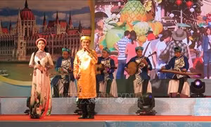 Liên hoan Đờn ca tài tử - Dân ca Nam bộ thành phố Cần Thơ năm 2019