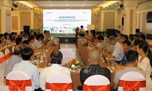 Thừa Thiên - Huế phát triển cây dược liệu và hàng thủ công mỹ nghệ tạo sinh kế cho người dân miền núi