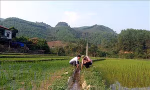 Xã Thái Bình - “Điểm sáng” đưa nghị quyết vào cuộc sống