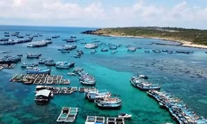 Đảm bảo đủ hàng Tết cho người dân huyện đảo