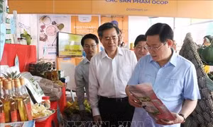 Phó Thủ tướng Vương Đình Huệ: Phát huy quan điểm lấy người dân làm chủ thể trong xây dựng nông thôn mới