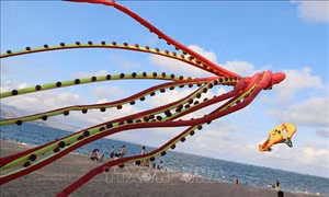 ​Biểu​ ​diễn​ ​diều​ ​nghệ​ ​thuật​ ​nhân ​lễ​ ​hội​ ​Nho​ ​và​ ​Vang​ ​Ninh​ ​Thuận​