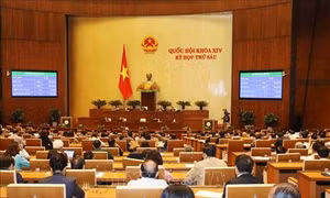 Các luật quan trọng có hiệu lực từ tháng 1/2020