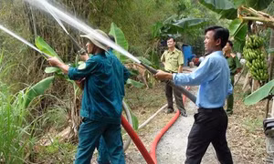 Long An triển khai nhiều giải pháp phòng chống cháy rừng