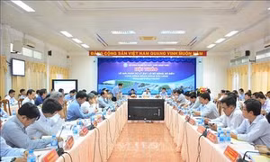 Năm 2020, Đồng bằng sông Cửu Long đối mặt với nguy cơ giảm trên 60% lượng phù sa bồi đắp