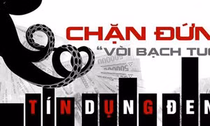 Thủ tướng chỉ thị tăng cường phòng ngừa, đấu tranh với “tín dụng đen”
