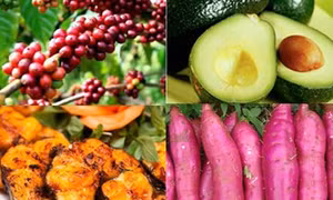 10 món ngon làm quà biếu độc đáo ở Đắk Nông