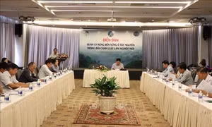 Quản lý rừng bền vững ở Tây Nguyên trong bối cảnh mới