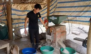 Điện về thắp sáng hai bản vùng cao Khau Làng và Cao Đường