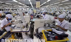Ninh Thuận đẩy mạnh đào tạo nghề cho lao động nông thôn