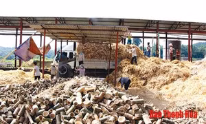 Phát triển kinh tế lâm nghiệp gắn với chế biến tại huyện vùng cao Lang Chánh