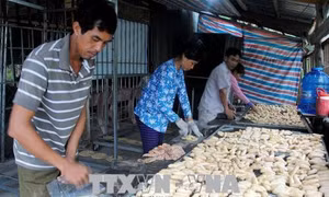 Cà Mau phấn đấu giảm nhanh tỷ lệ hộ nghèo ở vùng đồng bào dân tộc thiểu số