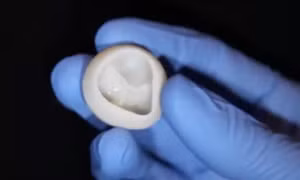 Sử dụng máy in 3D tạo ra các bộ phận chức năng của tim không có collagen
